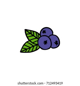 blueberry doodle icon
