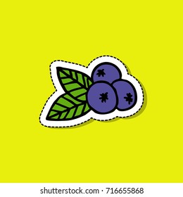 blueberry doodle icon