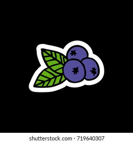 blueberry doodle icon