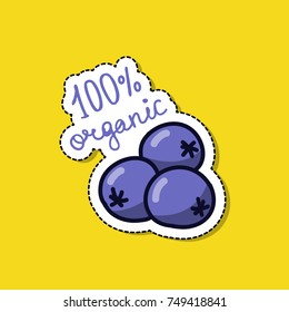 blueberry doodle icon
