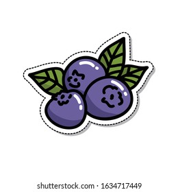 blueberry doodle icon, vector illustration