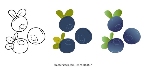 Blueberry. Doodle Blueberry Illustration. Blueberry Vector Illustration
