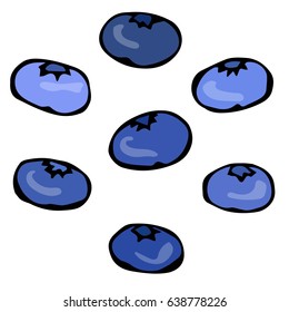 Blueberry. Doodle Style Vector Design, Isolated on White Background.