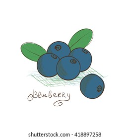 Blueberry. Drawing On A White Background. Sketch. Doodle.