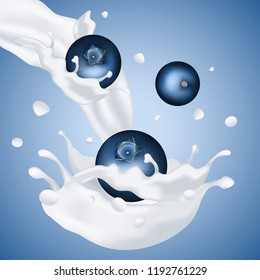 Blueberry falling in milk yogurt with splash. Realistic Vector blueberries smoothies illustration. eps10