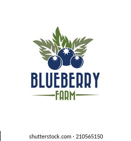 blueberry farm illustration