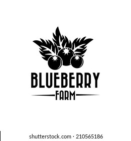 blueberry farm illustration