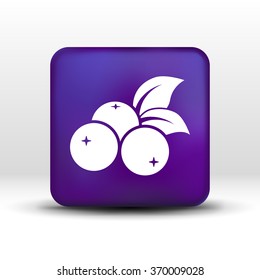 blueberry farm juicy illustration logo symbol vector.