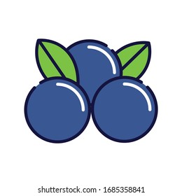 Icono de esquema simple relleno de arándanos en fondo blanco aislado. Pintura de fruta azul y púrpura.