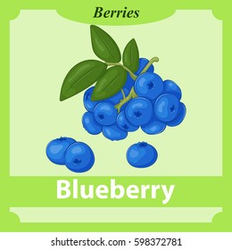 Blueberry flashcard in simple cartoon style. Learning berries with flashcards for kids. Vector illustration. Education Collection.