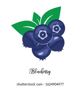 Blueberry flat design vector, isolated on white background.