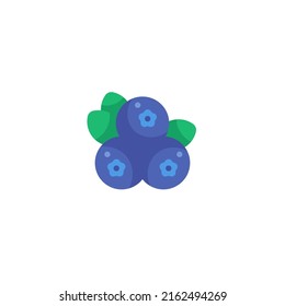 Blueberry - Diseño de iconos planos