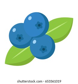 Blueberry flat icon, fruit and diet, vector graphics, a colorful solid pattern on a white background, eps 10.