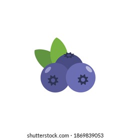 Blueberry In Flat Icon Style Isolated on a White Background - Fruits Icon Vector Illustration. 
