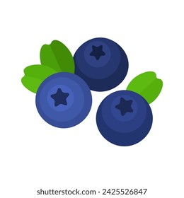 Blueberry flat style vector illustration. Fresh berries on white background.