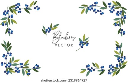 Blueberry frame with leaves graphic illustration. Set of romantic frames with ripe blueberries on white isolated background. Greeting card or invitation design