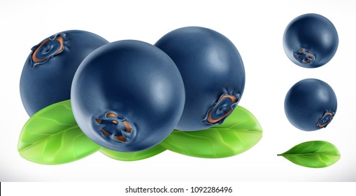 Blueberry. Fresh Fruit 3d Realistic Vector Icon