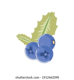 blueberry fresh fruit icon isolated style vector illustration
