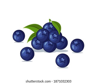 Blueberry fresh fruit vector design. Summer fruits for healthy lifestyle