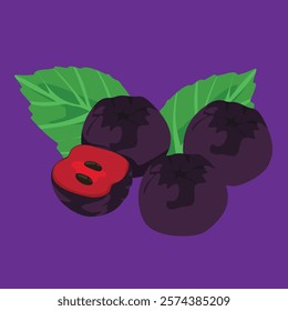 Blueberry Fresh and Juicy Fruit Clipart for Digital Designs, Branding nature food