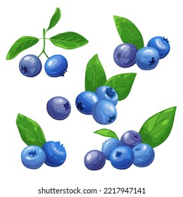 Blueberry Fresh Set Cartoon. Berry Blue, Bilberry Fruit, Ripe Food, Sweet Organic, Juicy Healthy, Leaf Delicious, Raw Blueberry Fresh Vector Illustration