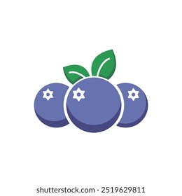 blueberry fruit flat vector design illustration isolated background
