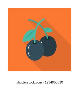 blueberry   fruit  food 