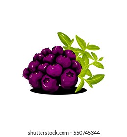 Blueberry Fruit Fresh Realistic Vector Illustration
