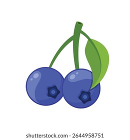 Blueberry fruit icon in flat style. Bilberry vector illustration on isolated background. Sweet berry sign business concept.