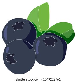 Blueberry Fruit Icon Vector - Vetorial