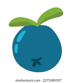 blueberry fruit isolated icon design