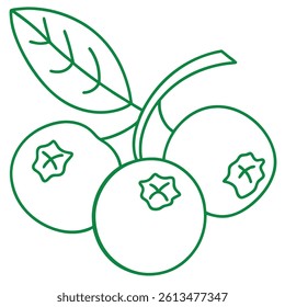 Blueberry Fruit Line Art Vector for Kids Hand Drawing and Learning – Simple Tropical Fruit Outline Illustration