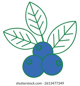 Blueberry Fruit Line Art Vector for Kids Hand Drawing and Learning – Simple Tropical Fruit Outline Illustration