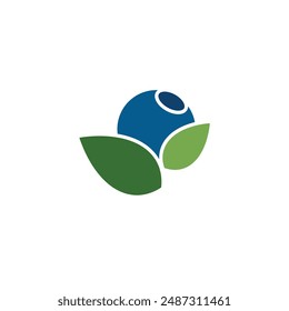 Blueberry Fruit logo designs vector, Illustration of Blueberry template