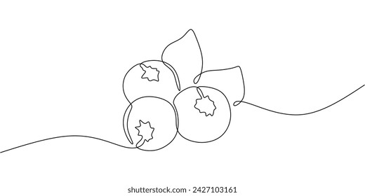 Blueberry fruit one line drawing. Continuous outline of Bilberry. Vector illustration healthy food concept.