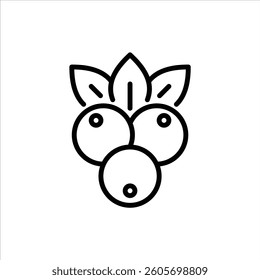 Blueberry Fruit outline icon. Blueberry Fruit black line illustration.