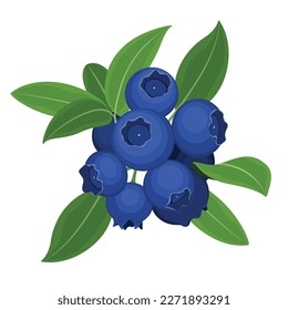 Tapa del patrón de arándano azul textura de papel tapiz vectorial diseño de la ilustración polka color azul