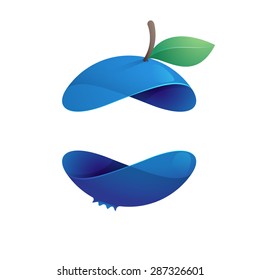 Blueberry fruit sphere with green leaf logo, volume icon design template element