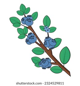 Blaubeerfrüchte. Blaubeere, Vektorsymbol für Zeichentrickdesign. Blaubeere mit Blättern in Ästen. Blaubeerbaum