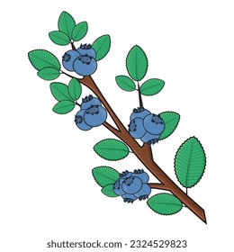 Frutos de arándano. Ilustración de diseño de dibujos animados del vector Blueberry. Arándano azul con hojas en ramas. Árbol de arándanos