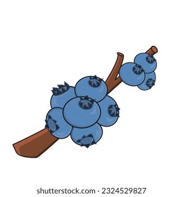 Frutos de arándano. Ilustración de diseño de dibujos animados del vector Blueberry. Arándano azul con hojas en ramas. Árbol de arándanos