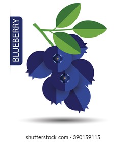 Blueberry, fruit vector illustration