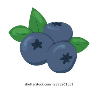 blueberry fruits icon - vector illustration