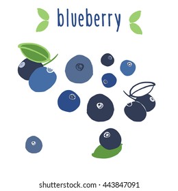 blueberry graphic vector set