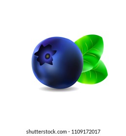 Blueberry with green leaves close up stock vector illustration on white background