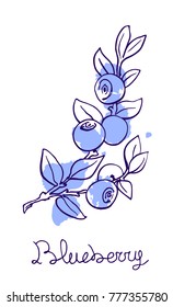 Blueberry hand drawn graphics elements,stylized color sketch