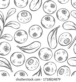 Ilustración vectorial sin fisuras dibujada a mano de arándano. Dibujo de estilo de esbozo aislado en fondo blanco con hoja. Objeto vegetariano orgánico para menú, etiqueta, receta, embalaje de productos