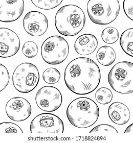 Blueberry hand drawn seamless pattern  vector illustration. Sketch style drawing isolated on white background with leaf. Organic vegetarian object for menu, label, recipe, product packaging