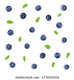 Blueberry hand drawn vector illustration set. Bilberry illustration collection. Blueberry, bilberry, leaves design template
