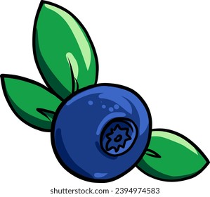 Ilustración vectorial dibujada a mano de arándano azul.